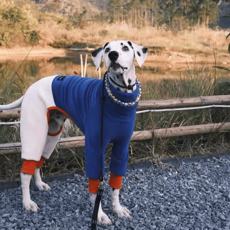 Fleece Onesies Italian greyhound Whippet Dog Clothes - PIKAPIKA