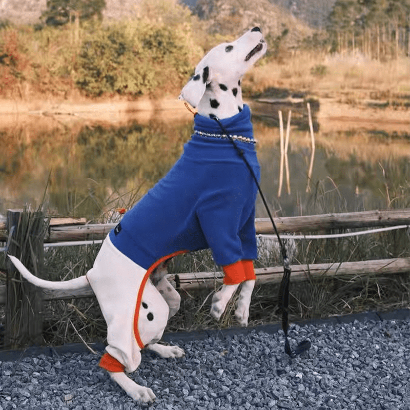 Fleece Onesies Italian greyhound Whippet Dog Clothes - PIKAPIKA