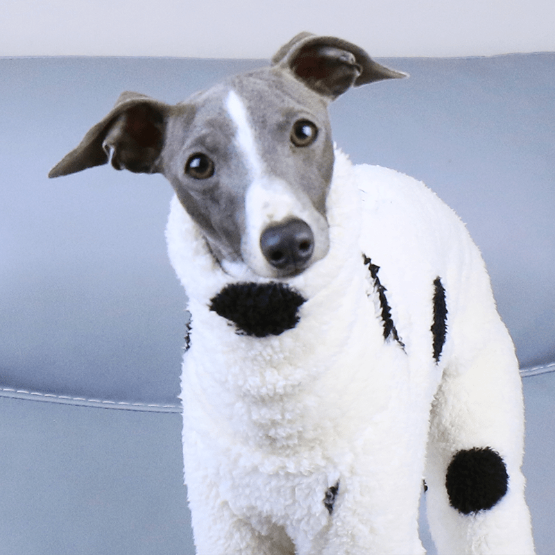 Fleece Onesies Milk Cow Italian Greyhound Whippet Dog Clothes - PIKAPIKA