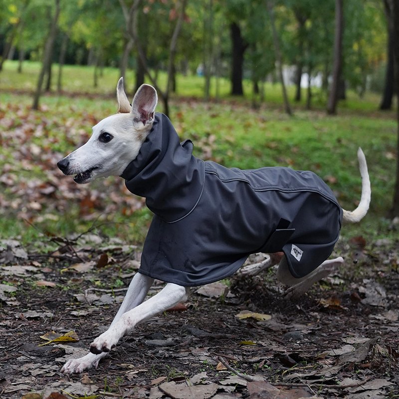 Fleece Raincoat Jacket for Italian greyhound Whippet - PIKAPIKA