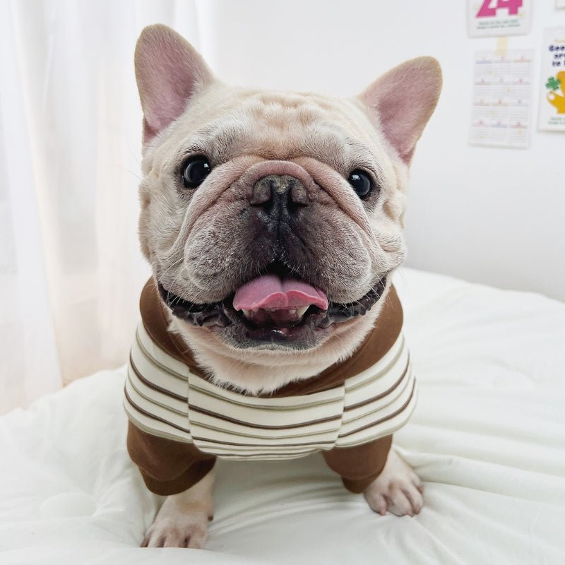 Fleece Stripes Hoodie Bulldog Dog Clothes - PIKAPIKA