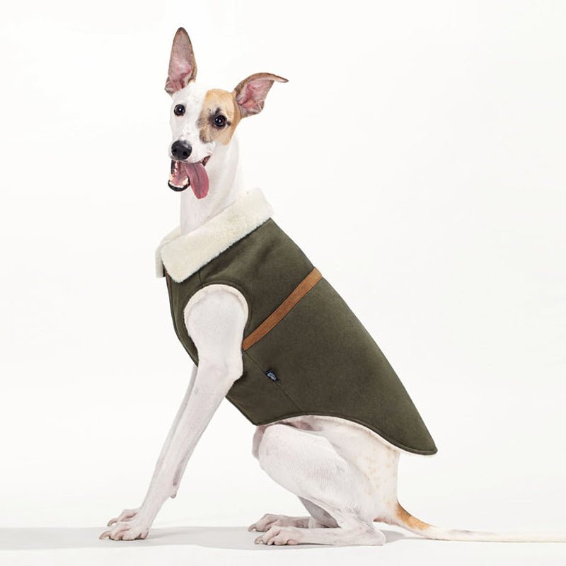 Fleece Suede Vest Jacket Italian Greyhound Whippet Dog Clothes - PIKAPIKA