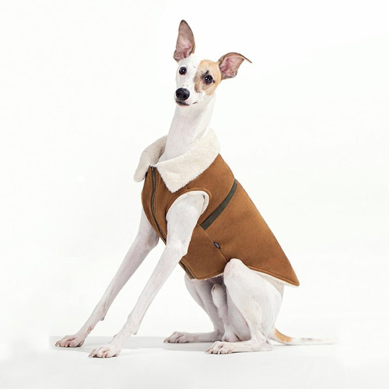 Fleece Suede Vest Jacket Italian Greyhound Whippet Dog Clothes - PIKAPIKA