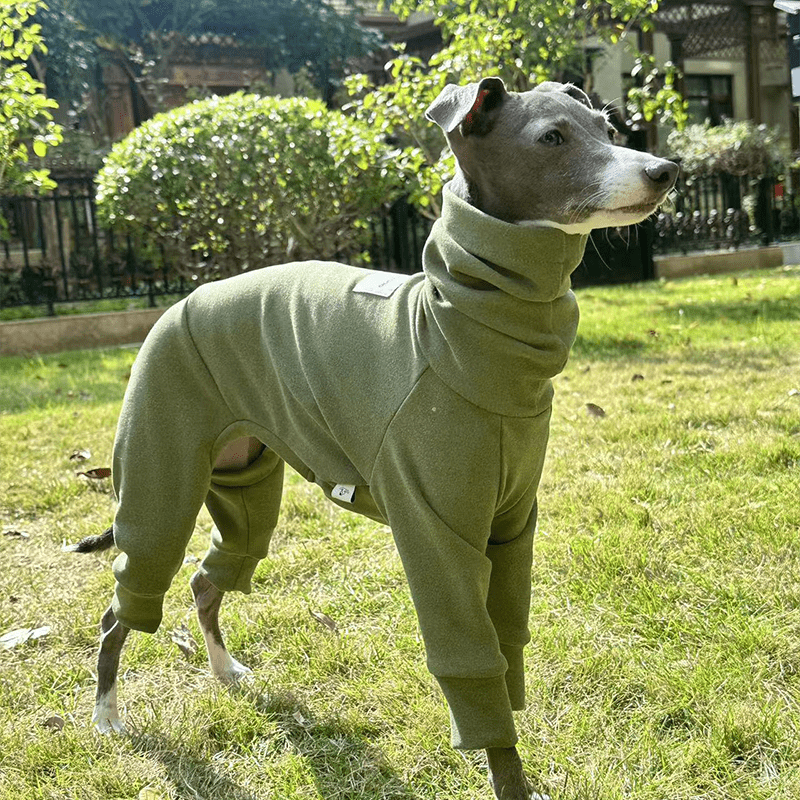 Fleece Warm Onesies Italian greyhound Dog Clothes - PIKAPIKA