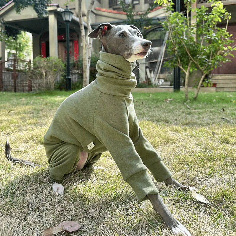 Fleece Warm Onesies Italian greyhound Dog Clothes - PIKAPIKA