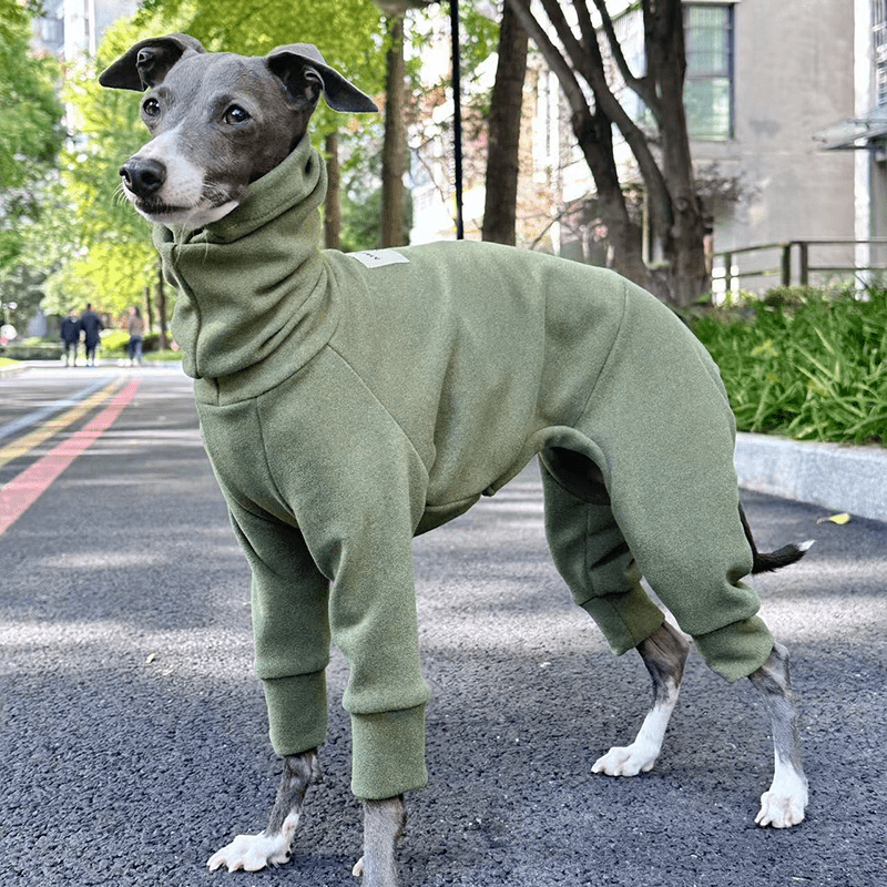 Fleece Warm Onesies Italian greyhound Dog Clothes - PIKAPIKA