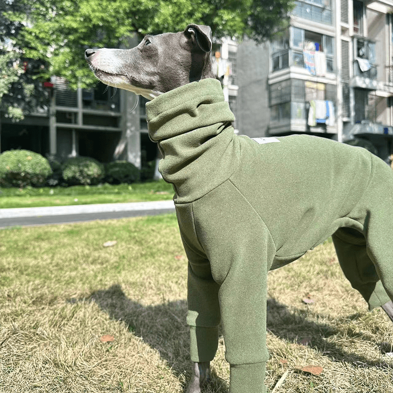 Fleece Warm Onesies Italian greyhound Dog Clothes - PIKAPIKA