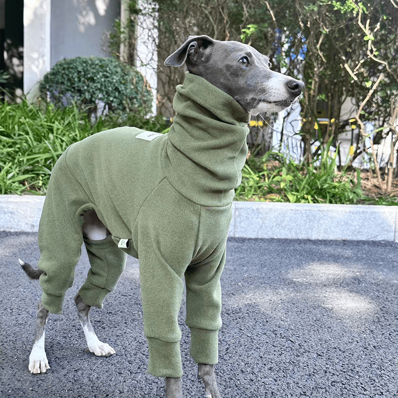 Fleece Warm Onesies Italian greyhound Dog Clothes - PIKAPIKA