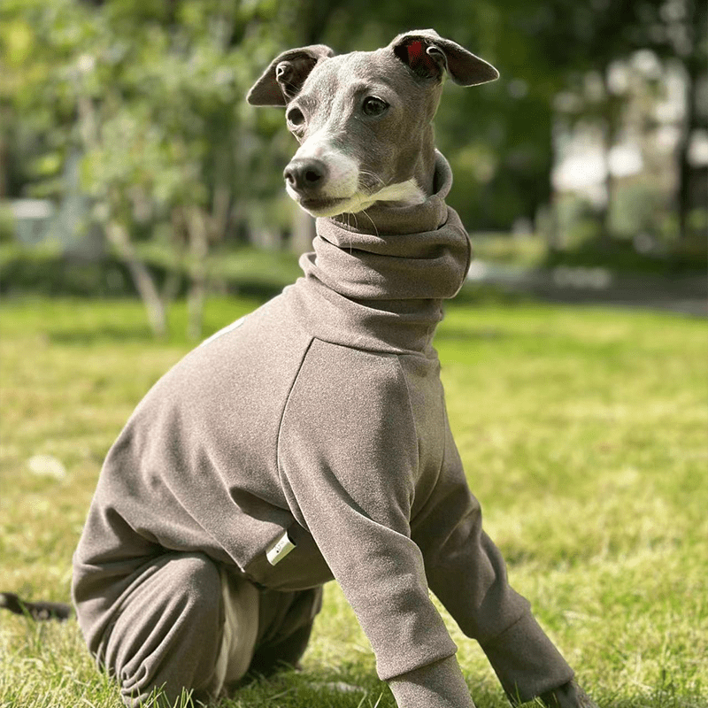 Fleece Warm Onesies Italian greyhound Dog Clothes Coffee - PIKAPIKA