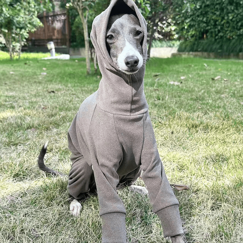 Fleece Warm Onesies Italian greyhound Dog Clothes Coffee - PIKAPIKA
