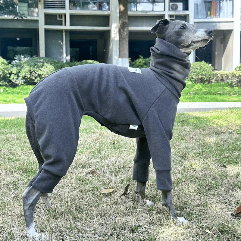 Fleece Warm Onesies Italian greyhound Dog Clothes Gray - PIKAPIKA