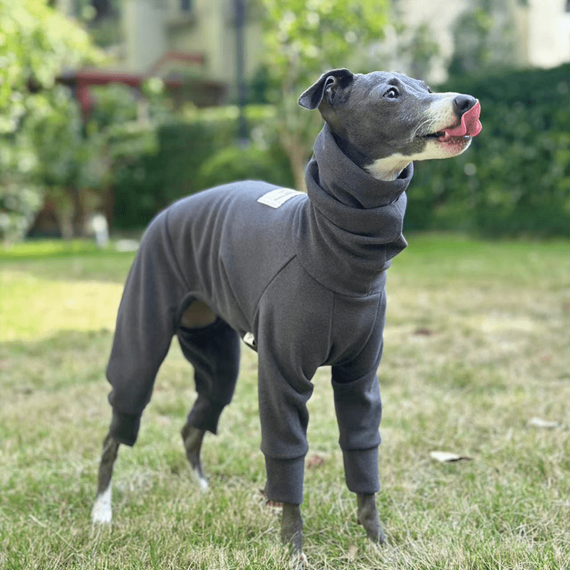 Fleece Warm Onesies Italian greyhound Dog Clothes Gray - PIKAPIKA