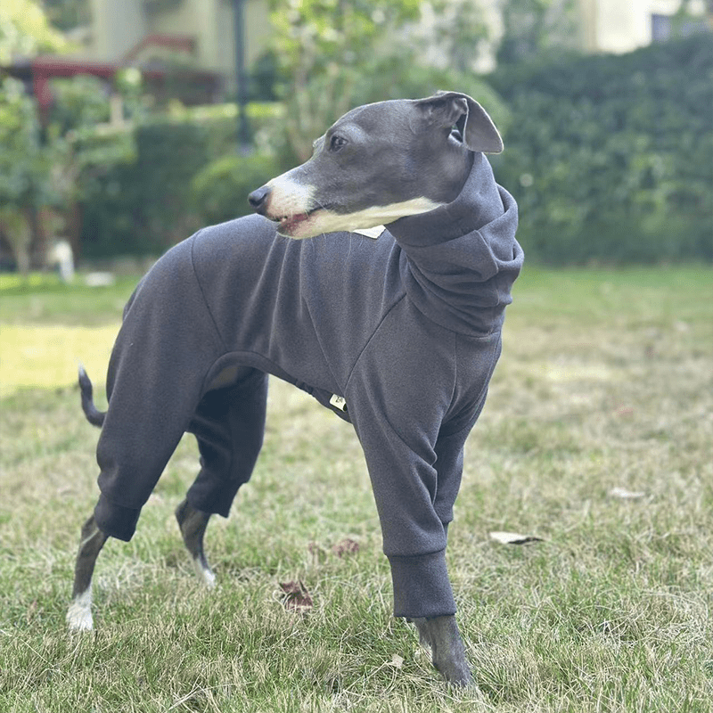 Fleece Warm Onesies Italian greyhound Dog Clothes Gray - PIKAPIKA