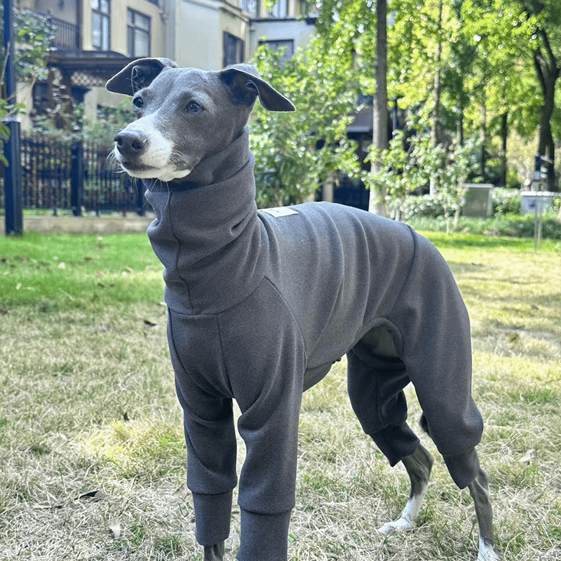 Fleece Warm Onesies Italian greyhound Dog Clothes Gray - PIKAPIKA