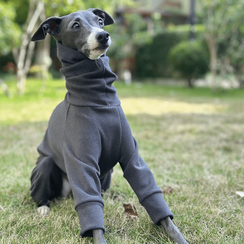 Fleece Warm Onesies Italian greyhound Dog Clothes Gray - PIKAPIKA