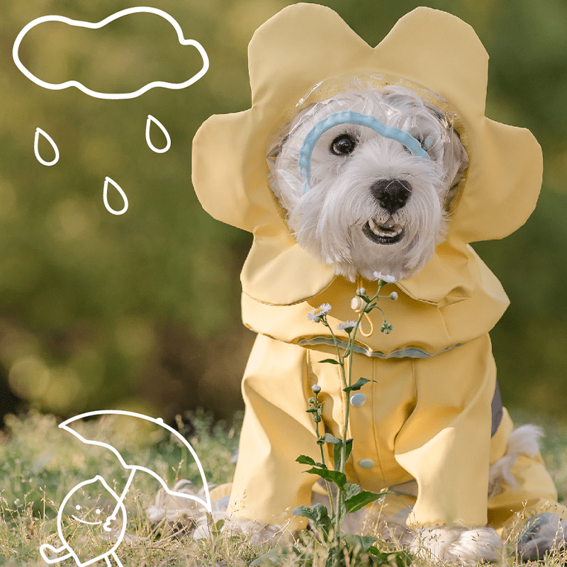 Floral Cloak Waterproof Full - Cover Four - Leg Dog Raincoat Small Medium Dogs - PIKAPIKA