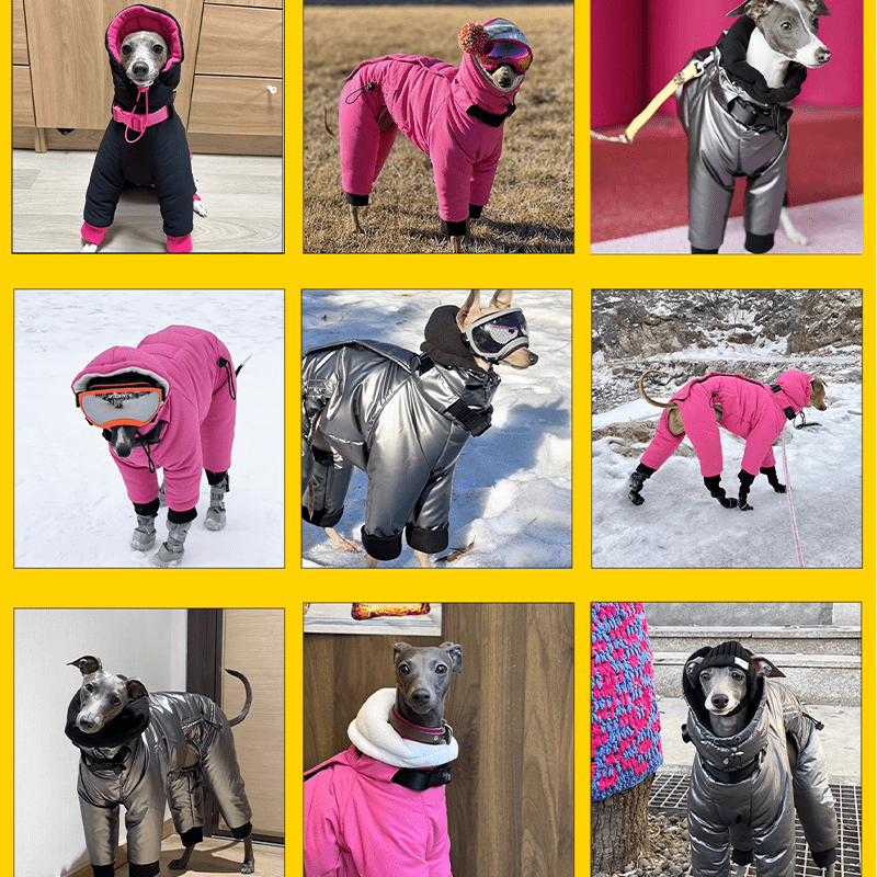 Four - Leg Cotton Coat Greyhound Whippet Winter Dog Clothes - PIKAPIKA