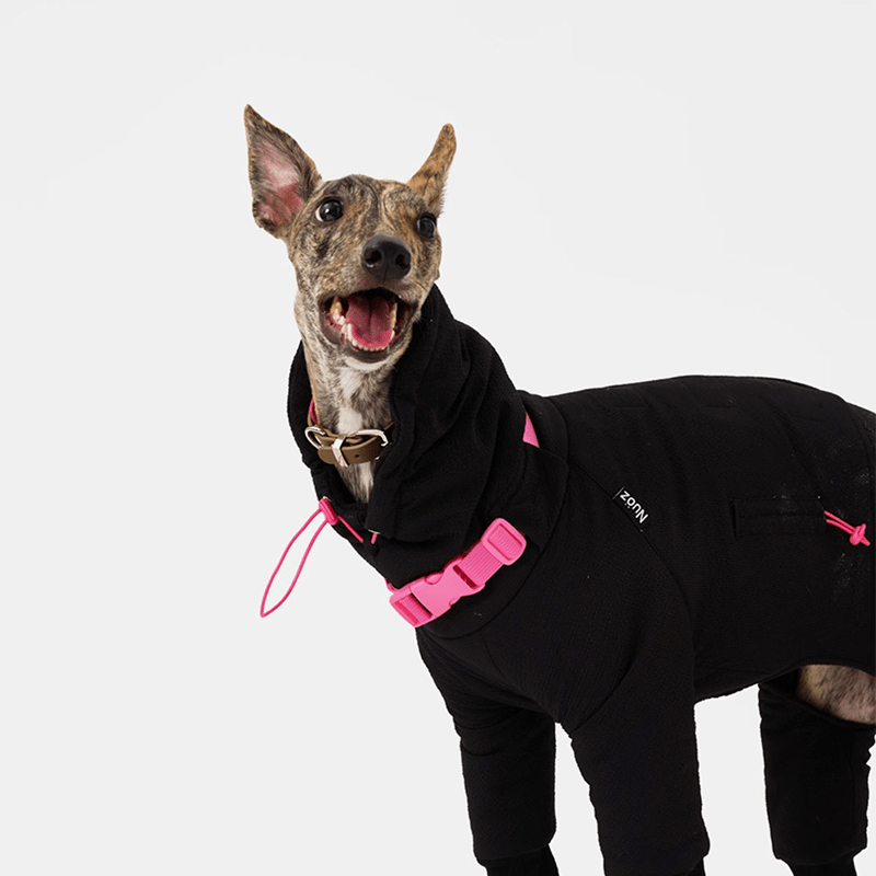 Four - Leg Cotton Coat Greyhound Whippet Winter Dog Clothes - PIKAPIKA