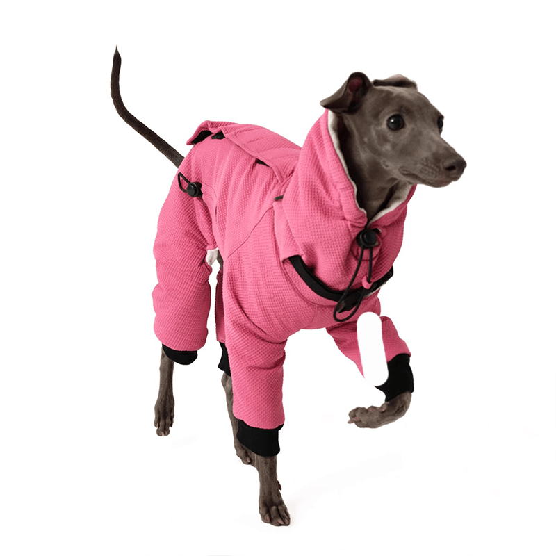 Four - Leg Cotton Coat Greyhound Whippet Winter Dog Clothes - PIKAPIKA