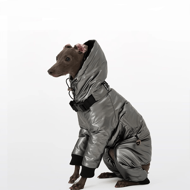 Four - Leg Cotton Coat Greyhound Whippet Winter Dog Clothes - PIKAPIKA