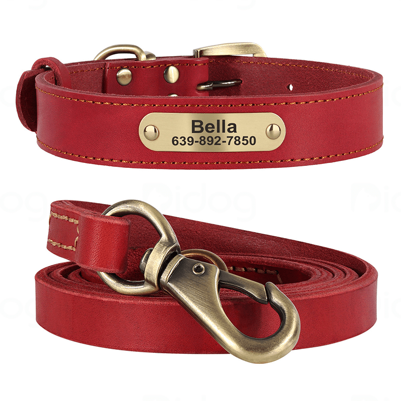 Genuine Leather Anti - Lost Engraved Dog Collar Custom ID Tag for Small Medium Dogs - PIKAPIKA