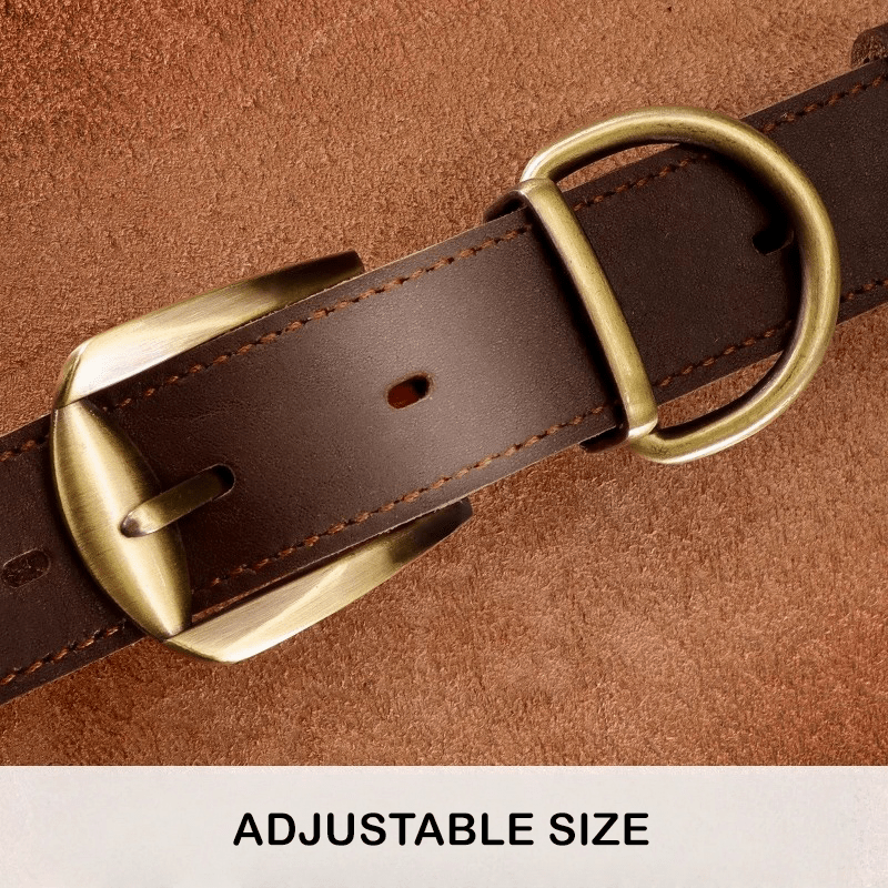 Genuine Leather Anti - Lost Engraved Dog Collar Custom ID Tag for Small Medium Dogs - PIKAPIKA