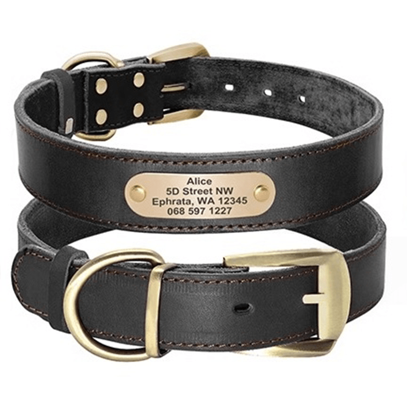 Genuine Leather Dog Collar Strong Durable Neck Strap for Medium Big Dogs - PIKAPIKA