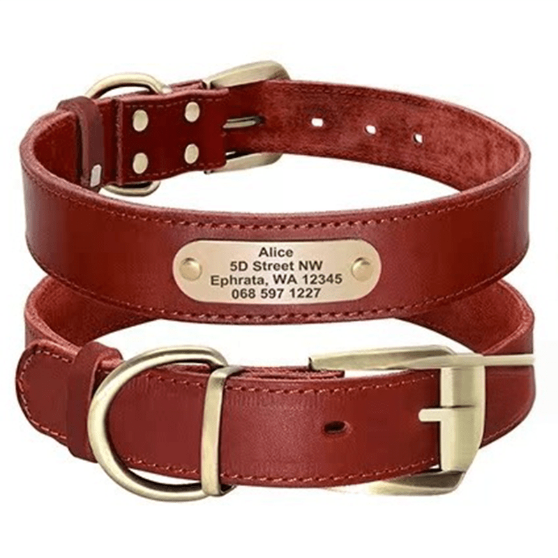 Genuine Leather Dog Collar Strong Durable Neck Strap for Medium Big Dogs - PIKAPIKA