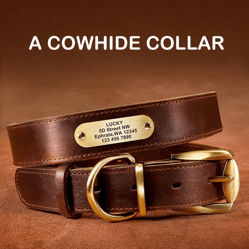 Genuine Leather Dog Collar Strong Durable Neck Strap for Medium Big Dogs - PIKAPIKA