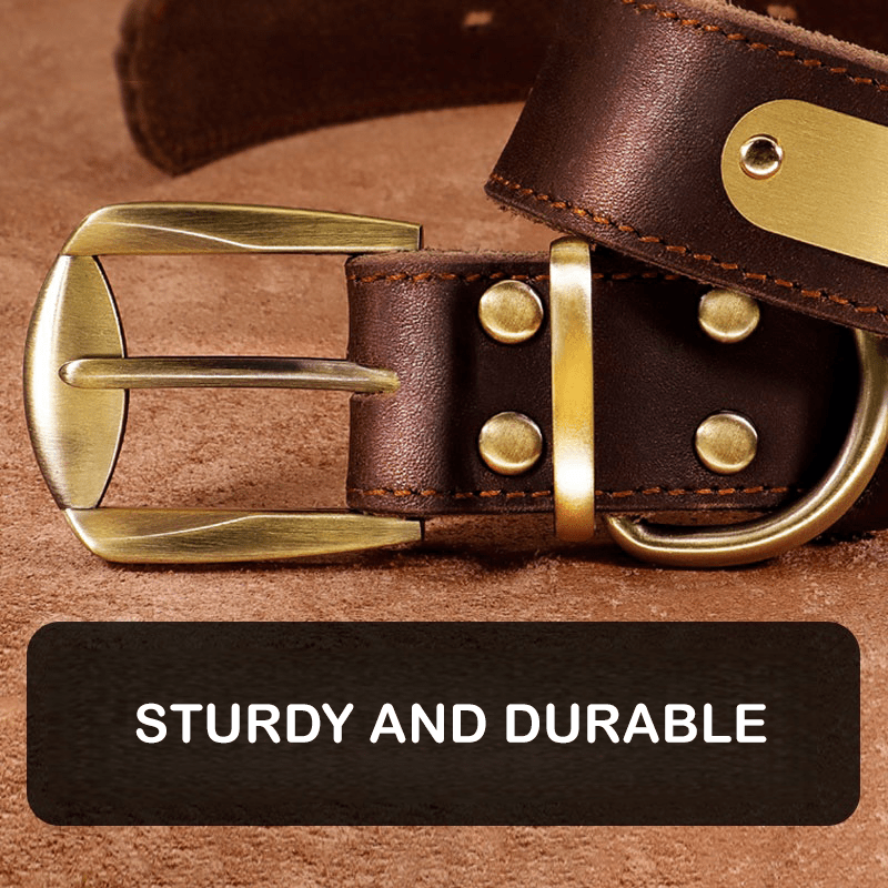 Genuine Leather Dog Collar Strong Durable Neck Strap for Medium Big Dogs - PIKAPIKA