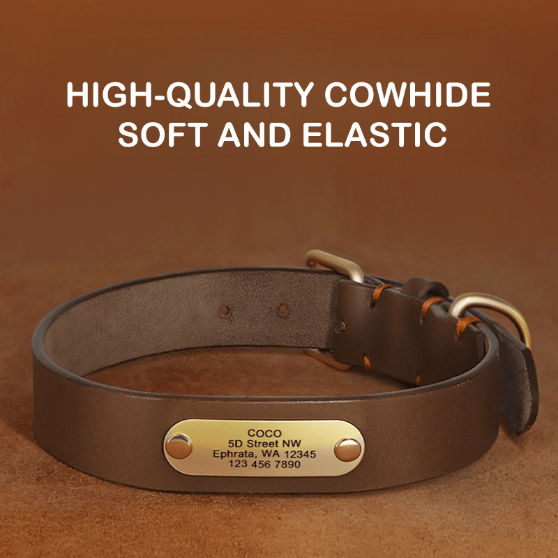 Genuine Leather Dog Collar Strong Durable Neck Strap for Medium Big Dogs - PIKAPIKA