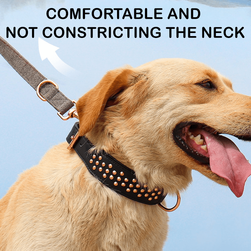 Genuine Leather Studded Dog Collar Anti - Bite Durable Neck Strap for Large Dogs - PIKAPIKA