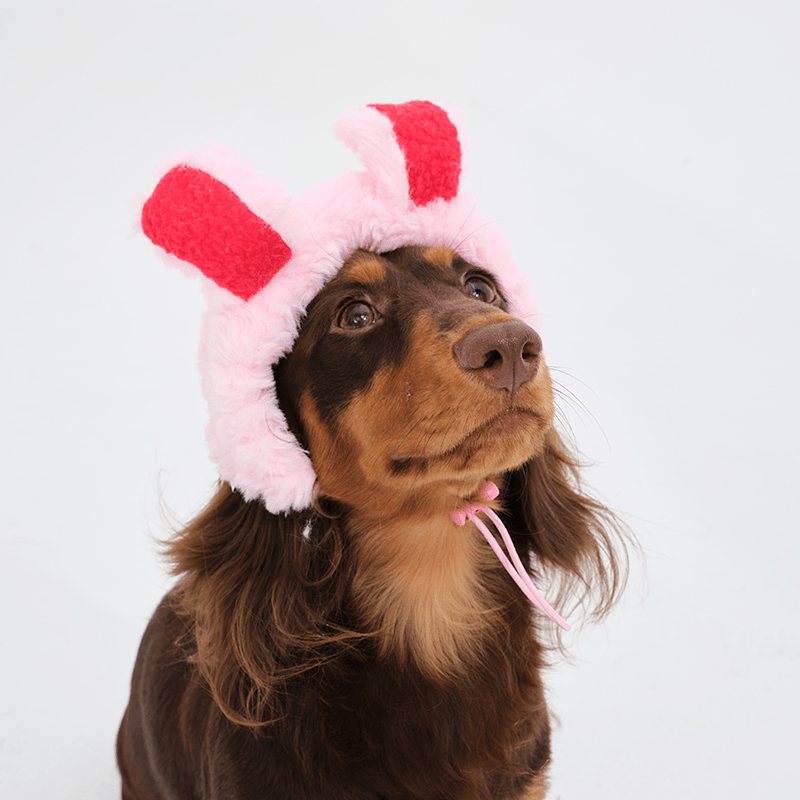 Halloween Bunny Fluffy Warm Hat Dachshund Dog - PIKAPIKA