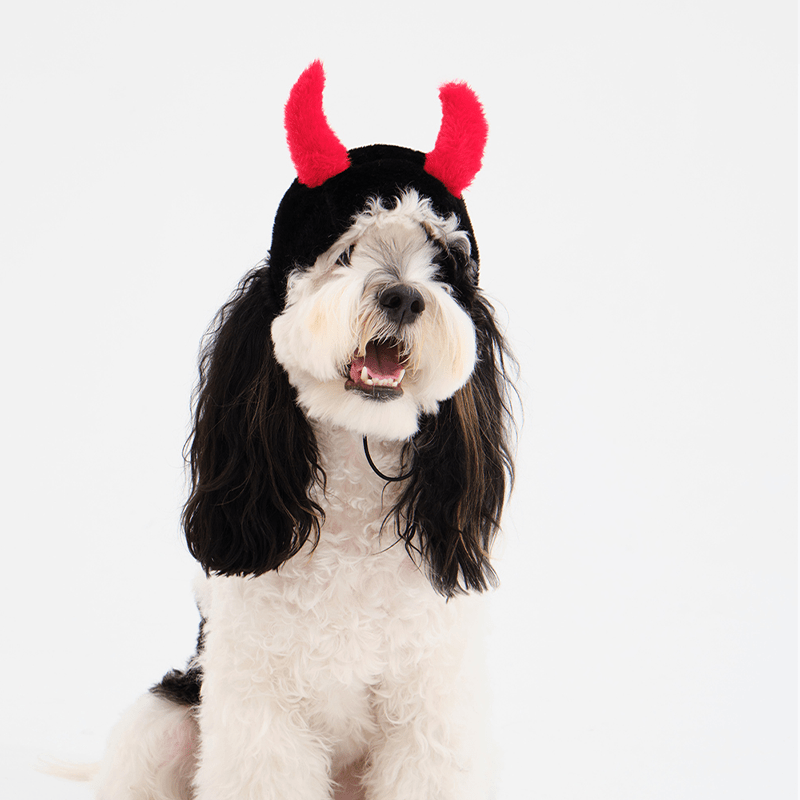 Halloween Devil Fluffy Winter Hat Italian Greyhound Whippet Dog - PIKAPIKA