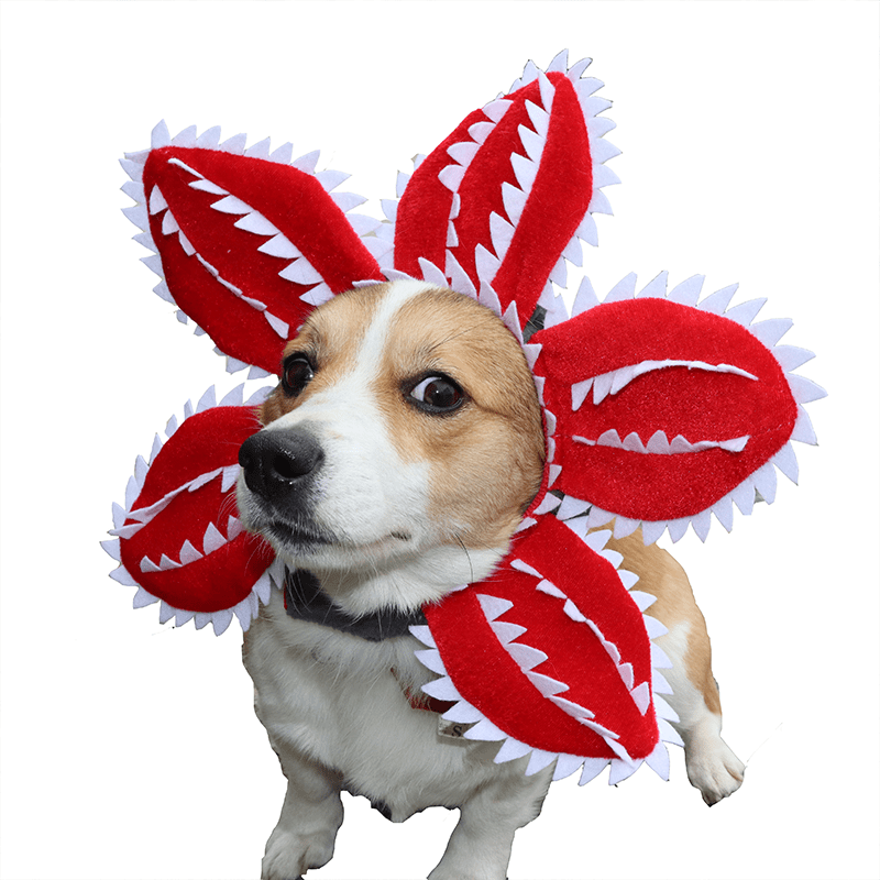 Halloween Piranha Plant Pet Headpiece Funny Costume Dog Hat - PIKAPIKA