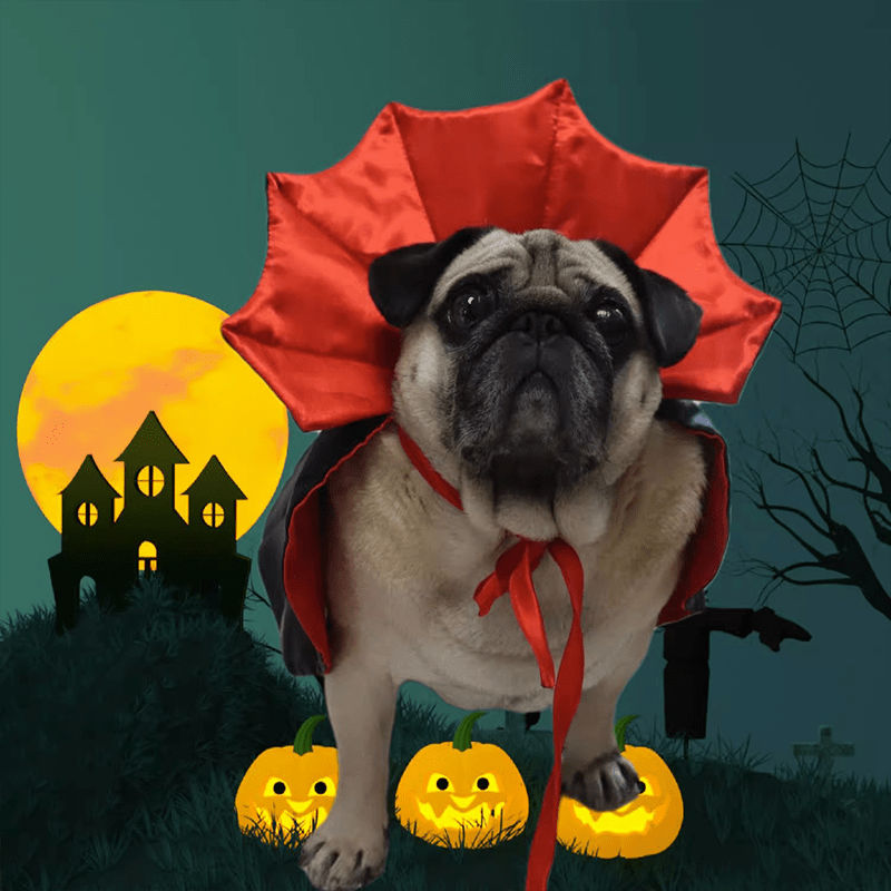 Halloween Vampire Magician Cloak Pet Costume Dog Funny Cape - PIKAPIKA