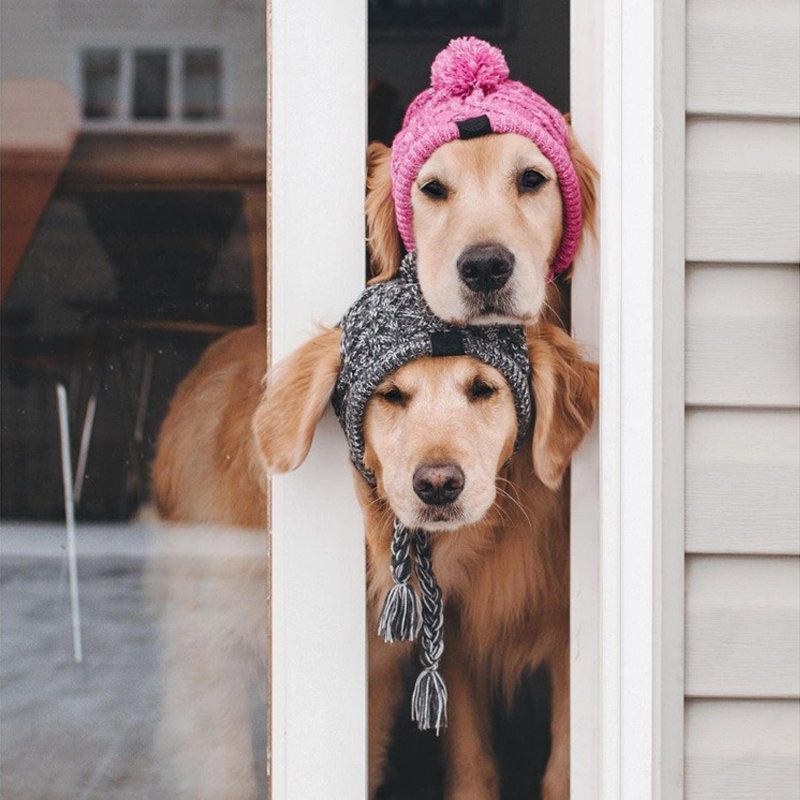 Hand Made Knitting Dog Hat - PIKAPIKA