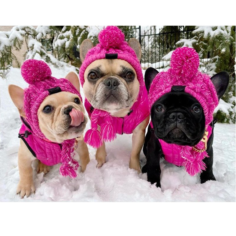 Hand Made Knitting Dog Hat - PIKAPIKA