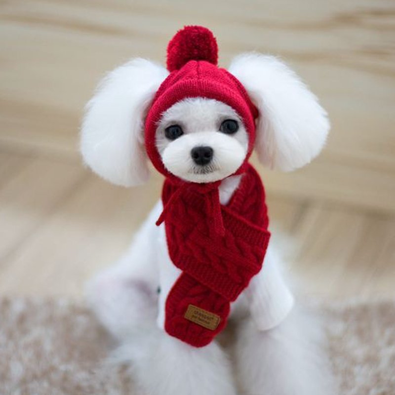 Hand Made Knitting Dog Hat Warm Collar - PIKAPIKA