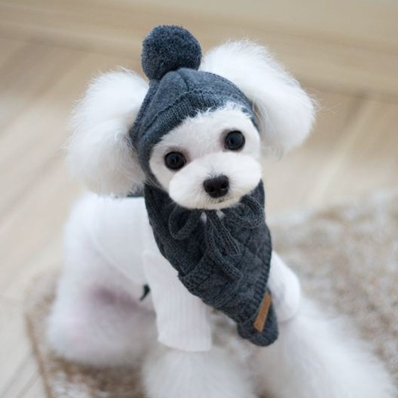 Hand Made Knitting Dog Hat Warm Collar - PIKAPIKA