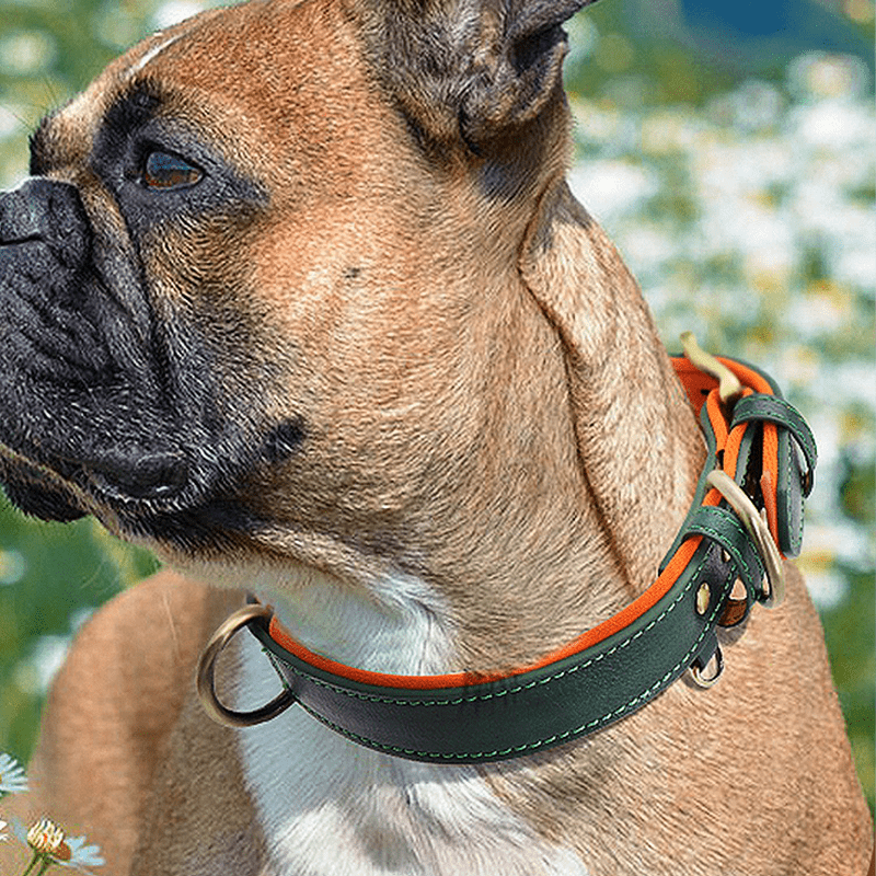 Handmade Engraved Dog Collar Custom Name Tag for Medium Large Dogs - PIKAPIKA