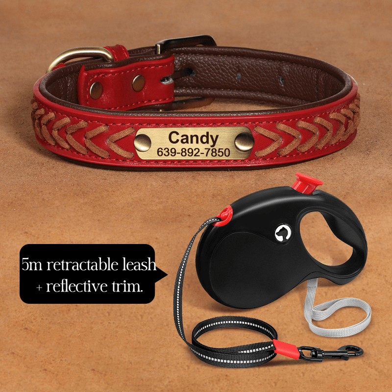 Handmade Leather Dog Collar Personalized Name Tag with Leashes - PIKAPIKA