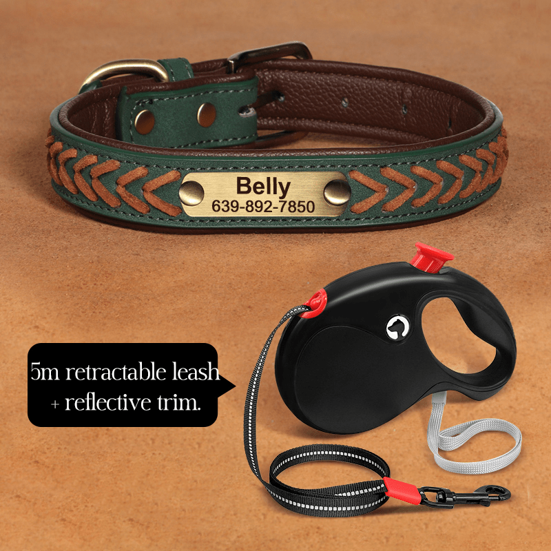 Handmade Leather Dog Collar Personalized Name Tag with Leashes - PIKAPIKA