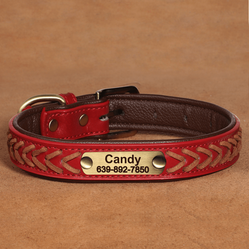 Handmade Leather Dog Collar Personalized Name Tag with Leashes - PIKAPIKA