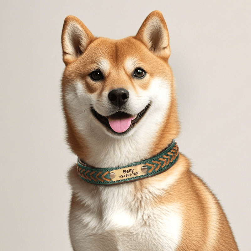 Handmade Leather Dog Collar Personalized Name Tag with Leashes - PIKAPIKA