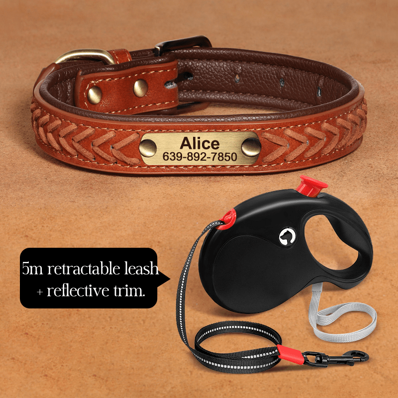 Handmade Leather Dog Collar Personalized Name Tag with Leashes - PIKAPIKA