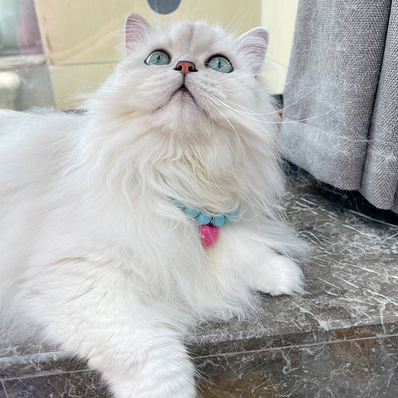 Handmade Love Pendant Dog Cat Necklace Accessories - PIKAPIKA