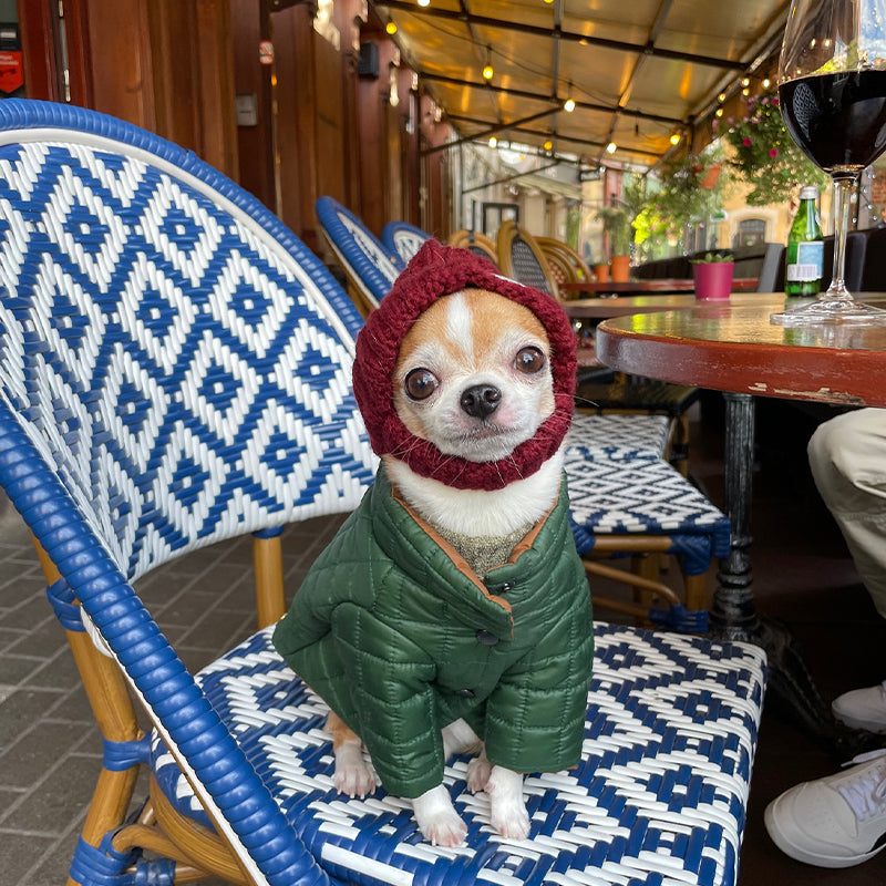 Cable Knitted Dog & Cat Hat Ear
