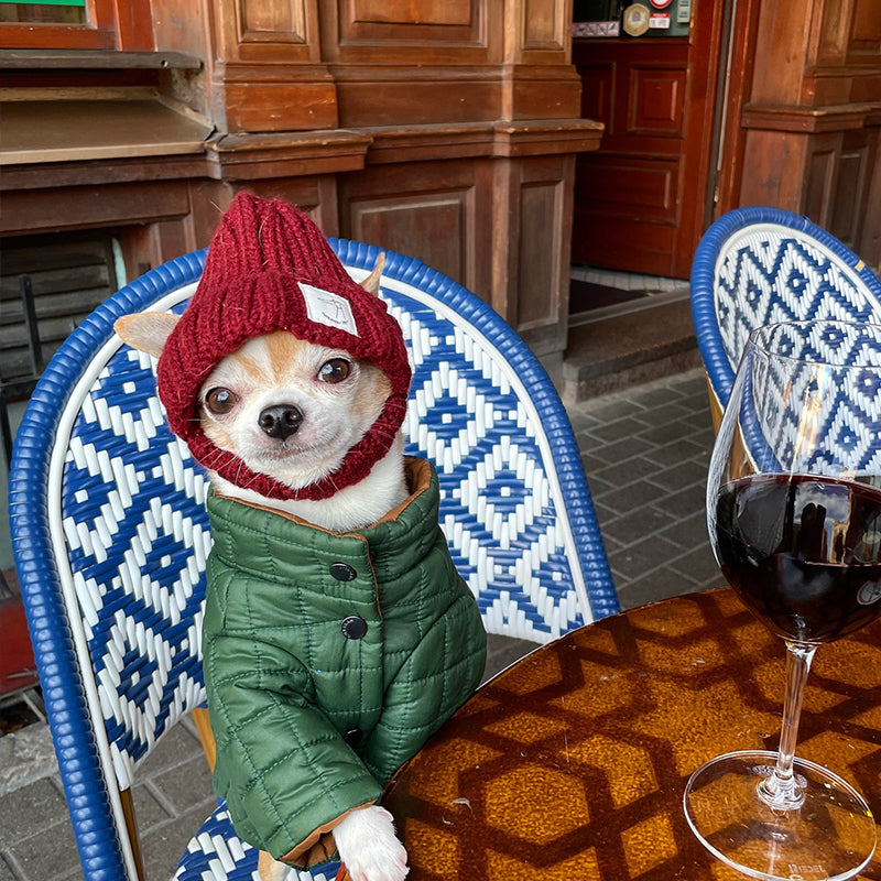 Cable Knitted Dog & Cat Hat Ear