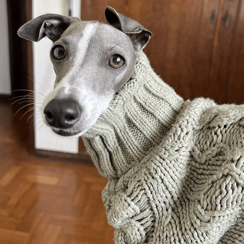 High Neck Cable Knit Sweater for Italian Greyhound Whippet Dog Clothes - PIKAPIKA